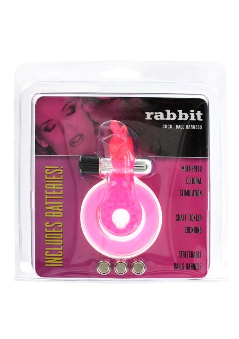 Pierścień-COCK&BALL RING RABBIT JELLY VIBE PI Pierścień-COCK&BALL RING RABBIT JELLY VIBE PI
