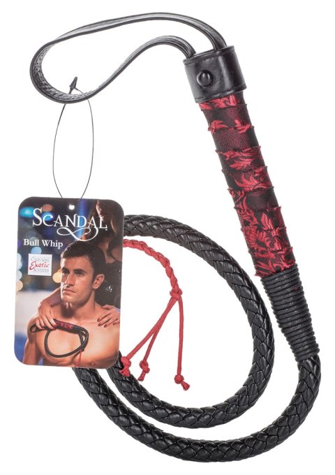Pejcz-SCANDAL BULL WHIP Pejcz-SCANDAL BULL WHIP