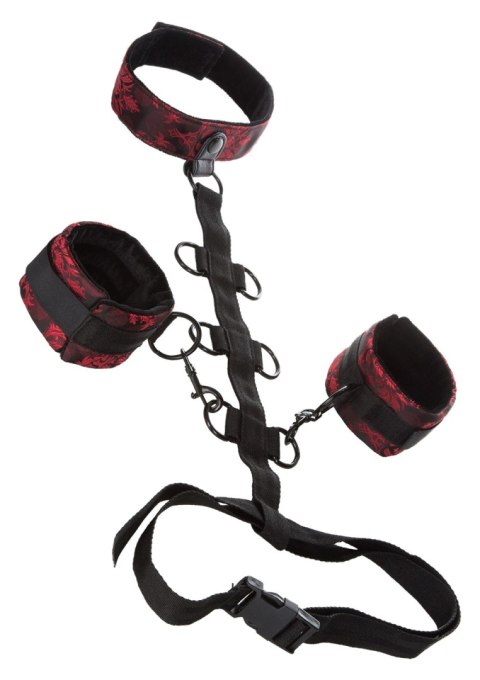 Wiązania-SCANDAL COLLAR BODY RESTRAINT Wiązania-SCANDAL COLLAR BODY RESTRAINT
