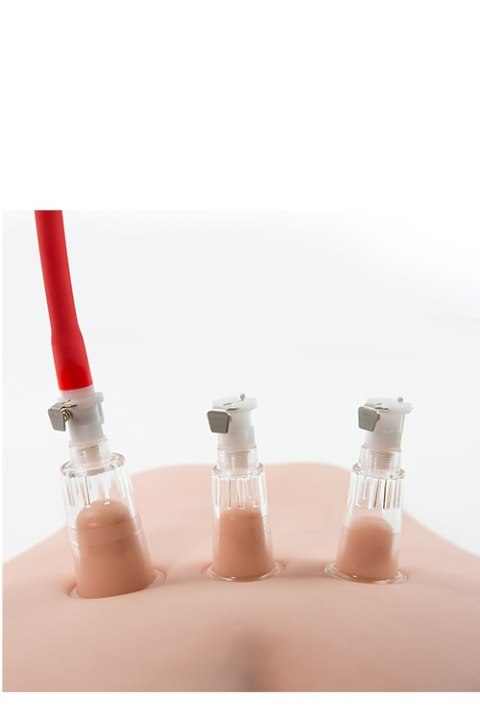 TEMPTASIA CLITORIS PLEASURE SYSTEM TEMPTASIA CLITORIS PLEASURE SYSTEM