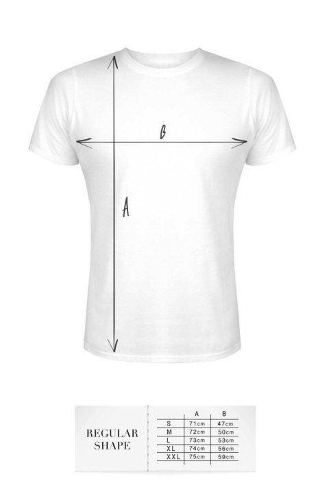 T-shirt men white L regular T-shirt men white L regular