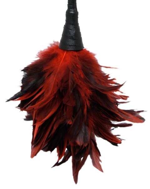 FFS Frisky Feather Duster FFS Frisky Feather Duster