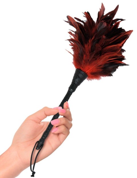 FFS Frisky Feather Duster FFS Frisky Feather Duster