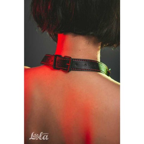 Knebel do ust kość drążek dominacja bdsm bondage Knebel do ust kość drążek dominacja bdsm bondage