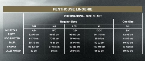 Bodystocking top pończochy sex odkryte krocze xl Bodystocking top pończochy sex odkryte krocze xl