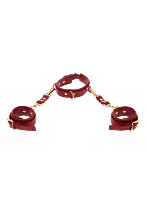D-Ring Collar and Wrist Cuffs D-Ring Collar and Wrist Cuffs