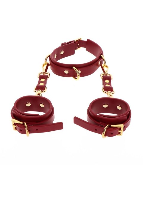 D-Ring Collar and Wrist Cuffs D-Ring Collar and Wrist Cuffs