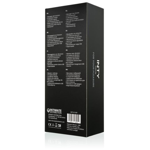 INTY Toys - Torch INTY Toys - Torch