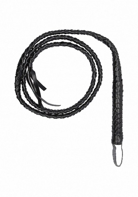 Twisted Whip Twisted Whip