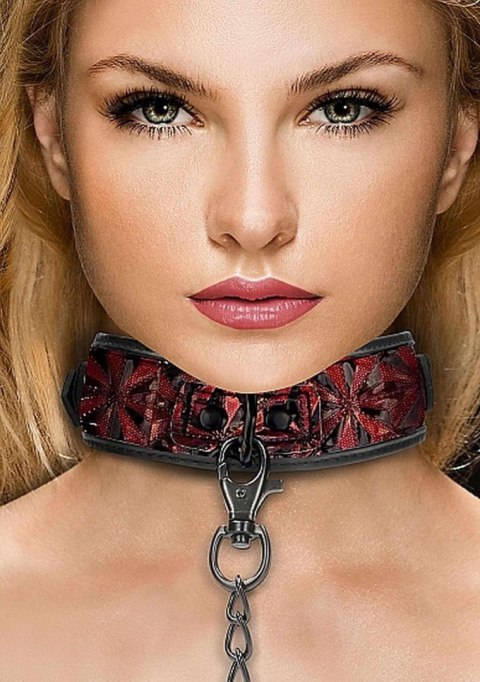Luxury Collar with Leash - Burgundy Luxury Collar with Leash - Burgundy