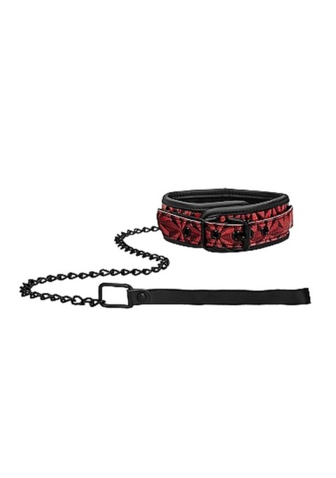 Luxury Collar with Leash - Burgundy Luxury Collar with Leash - Burgundy