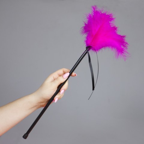 Plumero Plumas Fucsia Plumero Plumas Fucsia
