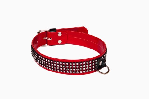 Wiązania-WHIPS lakier, obroża damska z kryształkami, czerwona, 3cm Wiązania-WHIPS lakier, obroża damska z kryształkami, czerwona, 3cm