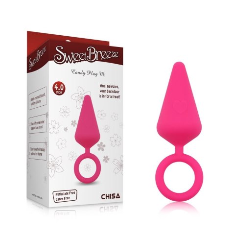 Korek analny zatyczka plug do pupy z uchwytem 10cm Korek analny zatyczka plug do pupy z uchwytem 10cm