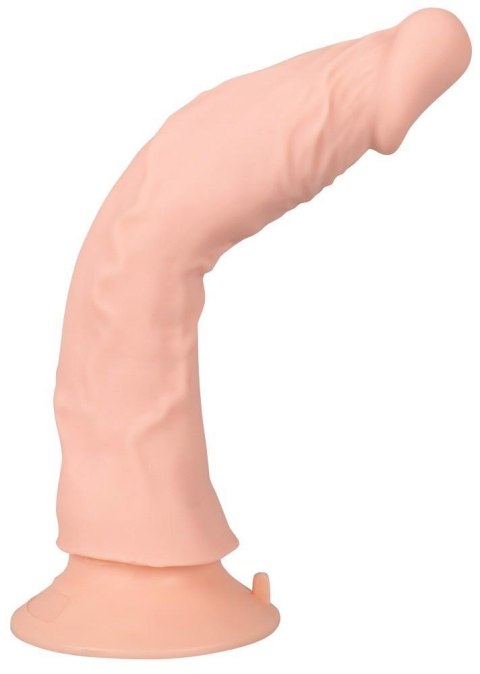 Giętkie elastyczne żylaste dildo z wibracjami 21,5