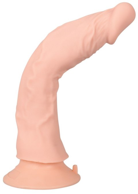 Giętkie elastyczne żylaste dildo z wibracjami 21,5