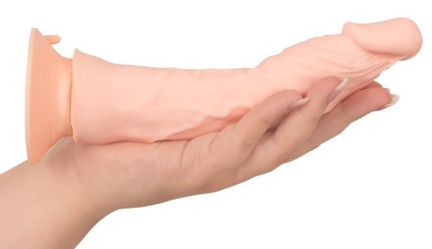 Giętkie elastyczne żylaste dildo z wibracjami 21,5