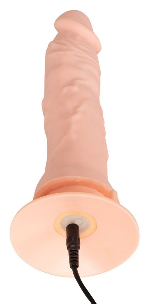 Giętkie elastyczne żylaste dildo z wibracjami 21,5
