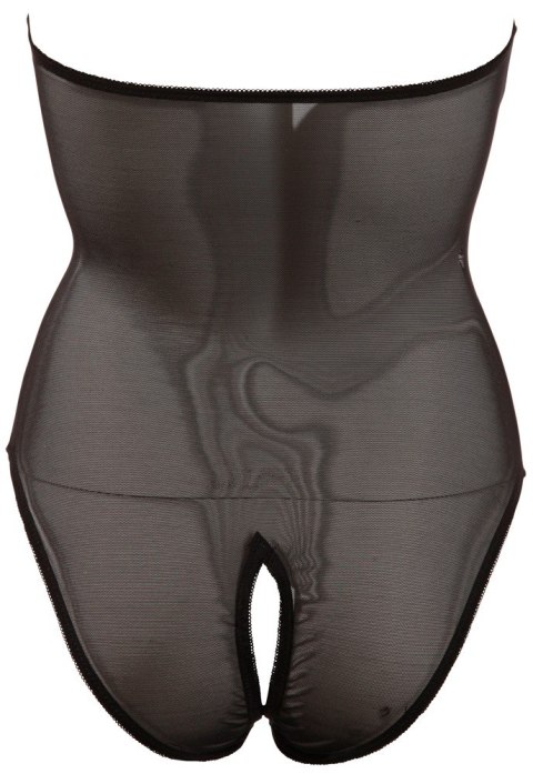 Body L Body L