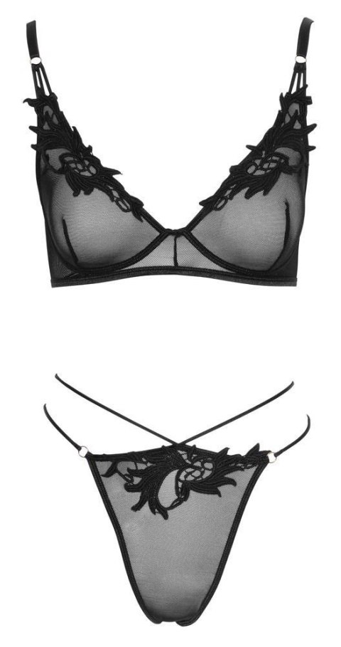 Bra and Rio L Bra and Rio L
