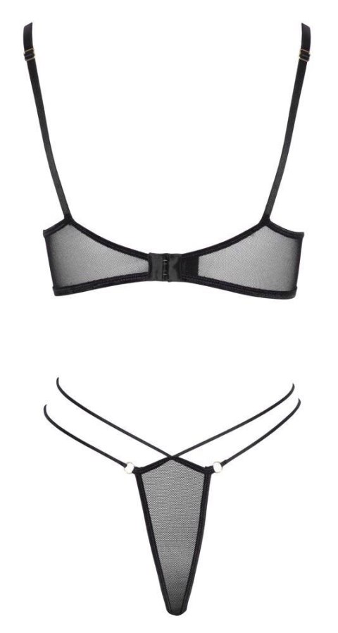 Bra and Rio L Bra and Rio L