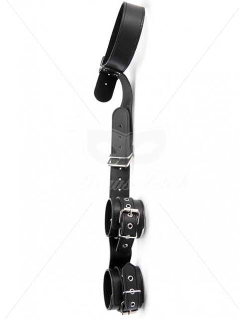 Bondage Collar and Wrist Cuffs Bondage Collar and Wrist Cuffs