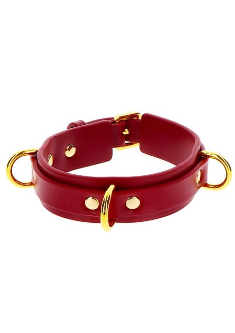 D-Ring Collar Deluxe D-Ring Collar Deluxe