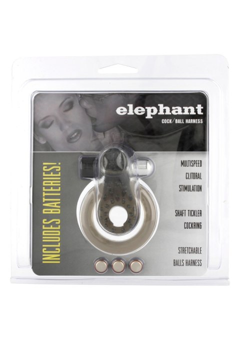 Pierścień-COCK&BALL RING ELEPHANT JELLY VIB Pierścień-COCK&BALL RING ELEPHANT JELLY VIB