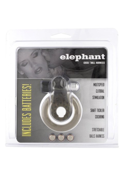 Pierścień-COCK&BALL RING ELEPHANT JELLY VIB Pierścień-COCK&BALL RING ELEPHANT JELLY VIB