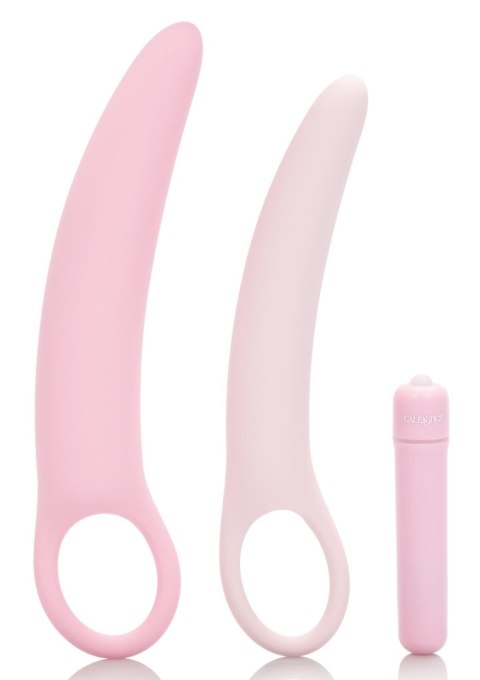 Wibrator-INSPIRE VIBRATING DILATOR KIT Wibrator-INSPIRE VIBRATING DILATOR KIT