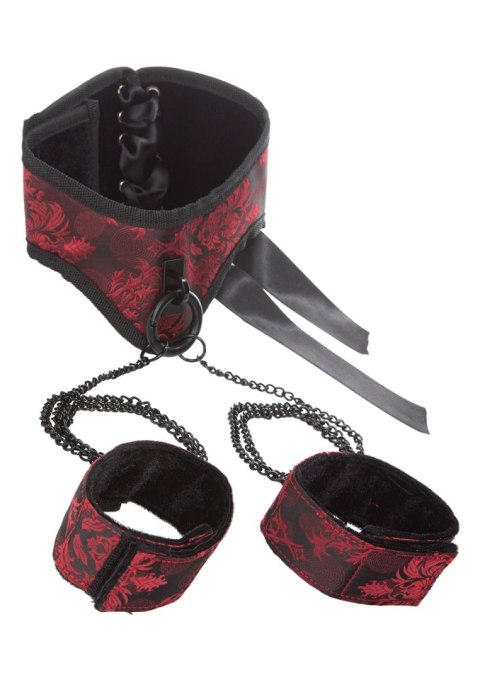Kajdanki-SCANDAL POSTURE COLLAR WITH CUFFS Kajdanki-SCANDAL POSTURE COLLAR WITH CUFFS