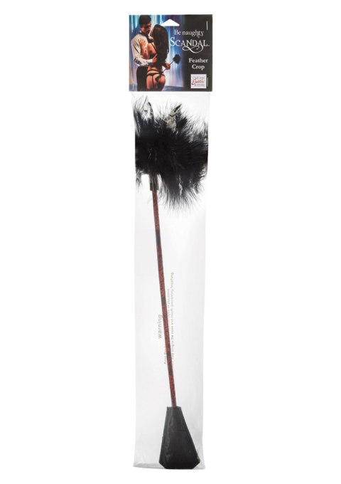 Pejcz-SCANDAL FEATHER CROP Pejcz-SCANDAL FEATHER CROP