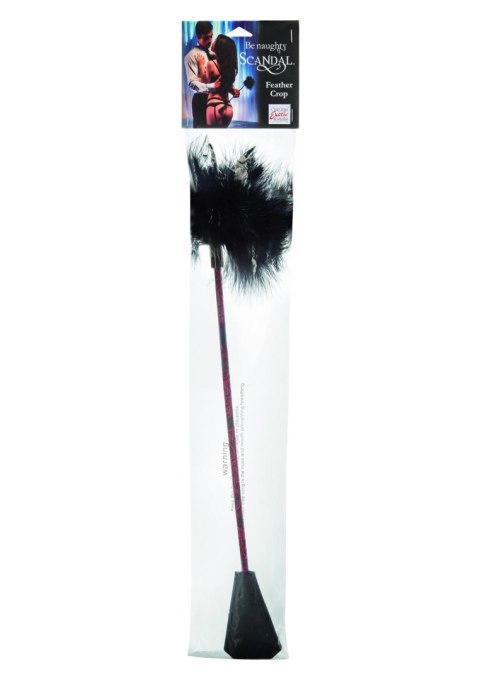 Pejcz-SCANDAL FEATHER CROP Pejcz-SCANDAL FEATHER CROP